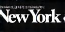 NY Magazine logo
